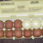 barn eggs.JPG  