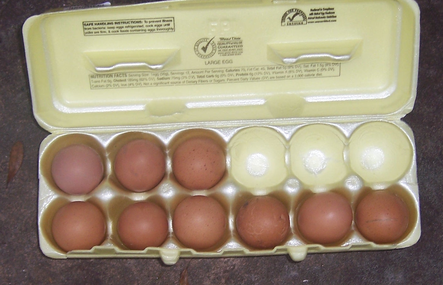 barn eggs.JPG